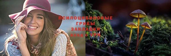 стафф Алзамай